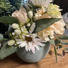 【12/1取りに来れる方】観葉植物🪴ニトリやIKEA🪴4点セットの画像