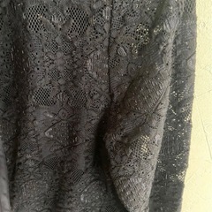 無料でお譲りします　リツコシラハマの画像