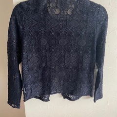 無料でお譲りします　リツコシラハマの画像