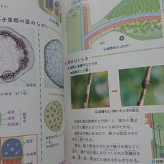 なるほど理科図録 受験研究社📖の画像