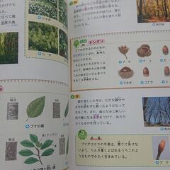 なるほど理科図録 受験研究社📖の画像