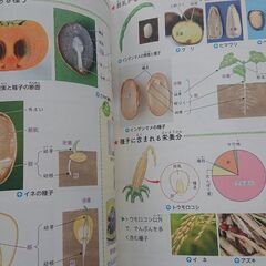 なるほど理科図録 受験研究社📖の画像
