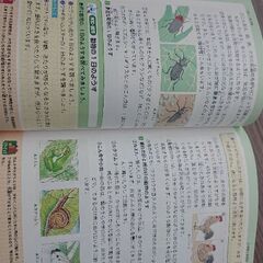 小学3・4年 自由自在 理科📘受験研究社 参考書の画像