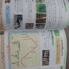 小学3・4年 自由自在 理科📘受験研究社 参考書の画像