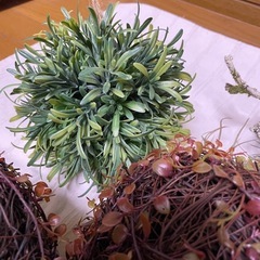 フェイク苔玉•エアプランツ9点セットの画像