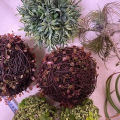 フェイク苔玉•エアプランツ9点セットの画像