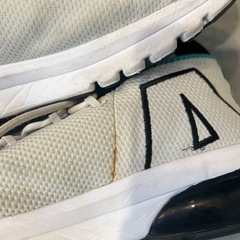  NIKE AIR MAX FLAIR 50/ナイキ エア マックス フレア 50 26cmの画像