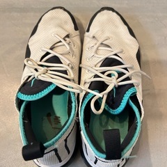  NIKE AIR MAX FLAIR 50/ナイキ エア マックス フレア 50 26cmの画像