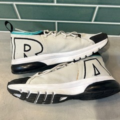  NIKE AIR MAX FLAIR 50/ナイキ エア マックス フレア 50 26cmの画像