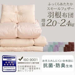 3/24まで　布団セット