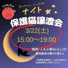 3/22にゃんラブナイト譲渡会