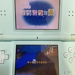 【DSソフト】おいでよ　どうぶつの森の画像