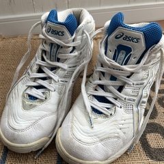 タイムバーゲン❗️asicsシューズ【26.5】