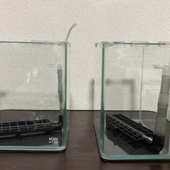 水槽　一式　メダカ　グッピー　エビ　の画像