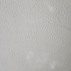壁紙クロス【sp9741】の画像