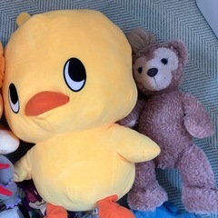 ぬいぐるみセット　ポケモンの画像