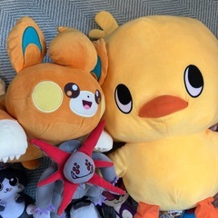 ぬいぐるみセット　ポケモンの画像