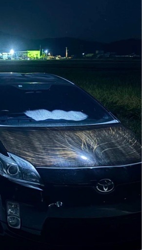 30プリウス ボンネット