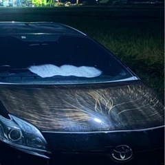 30プリウス ボンネット  