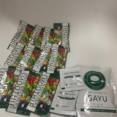 ファスティング　グリーンブラザーズ