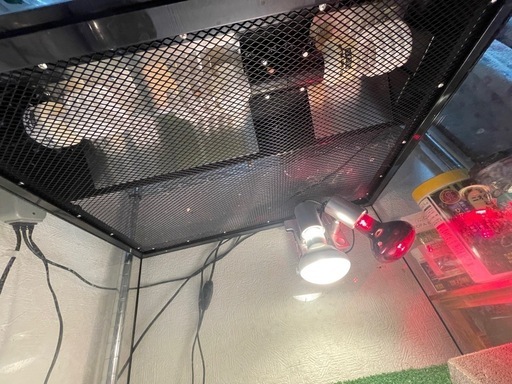 今月限り値下げ爬虫類ゲージ
