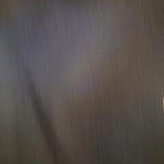 アナ・スイ ANASUI スプリングコートの画像