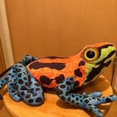 カエルぬいぐるみ　アミューズメント景品！の画像