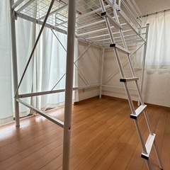 ベット
