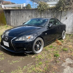 is250c 希少　オープンカーの画像
