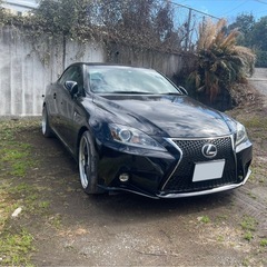is250c 希少　オープンカーの画像