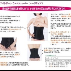 サラマシェリコルセット　アウトボーンウエストニッパー　腰痛ベルト　フリーサイズ　ライトパープル　の画像