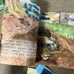 かがくのとも絵本4冊の画像