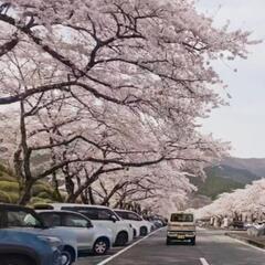 🌸女性ライダーさん🌸宜しくお願いします☺️