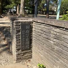 【熊本市】公園の花壇の整備にご協力ください。