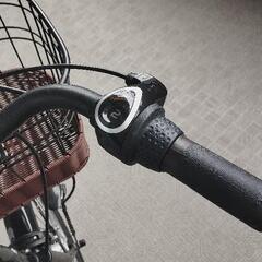 マッシュベリー　自転車　20インチの画像