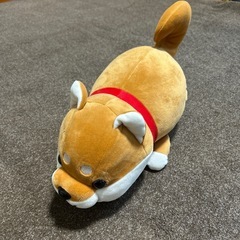 まめしばの中古が安い!激安で譲ります・無料であげます|ジモティー まめしばの中古が安い!激安で譲ります・無料であげます|ジモティー