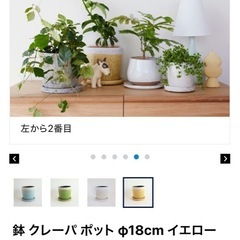 IDEE  鉢　約18×18cmの画像