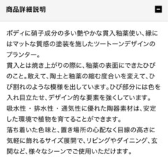IDEE  鉢　約18×18cmの画像