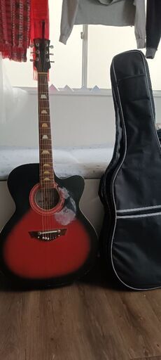 弦楽器、ギター Guiter