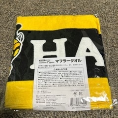 マフラータオル