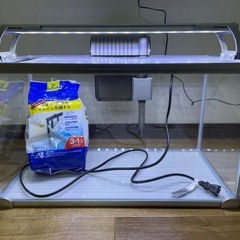 水槽セット
の画像