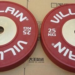 25kg 2枚 VILLAIN ヴィラン バンパープレートの画像