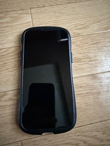 iPhone iPhone 13 Pro Max