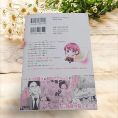 《美品》執着弁護士の愛が重すぎる 1巻 初版の画像