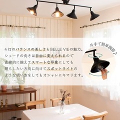 【13,000円OFF】Ampoule シーリングライトの画像