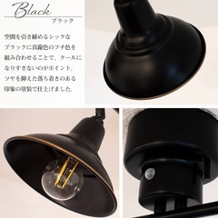 【13,000円OFF】Ampoule シーリングライトの画像