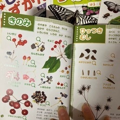 しぜんずかんの画像