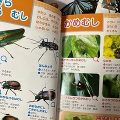 しぜんずかんの画像