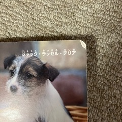 えほん　こいぬの画像