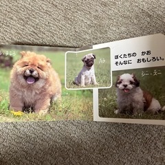 えほん　こいぬの画像